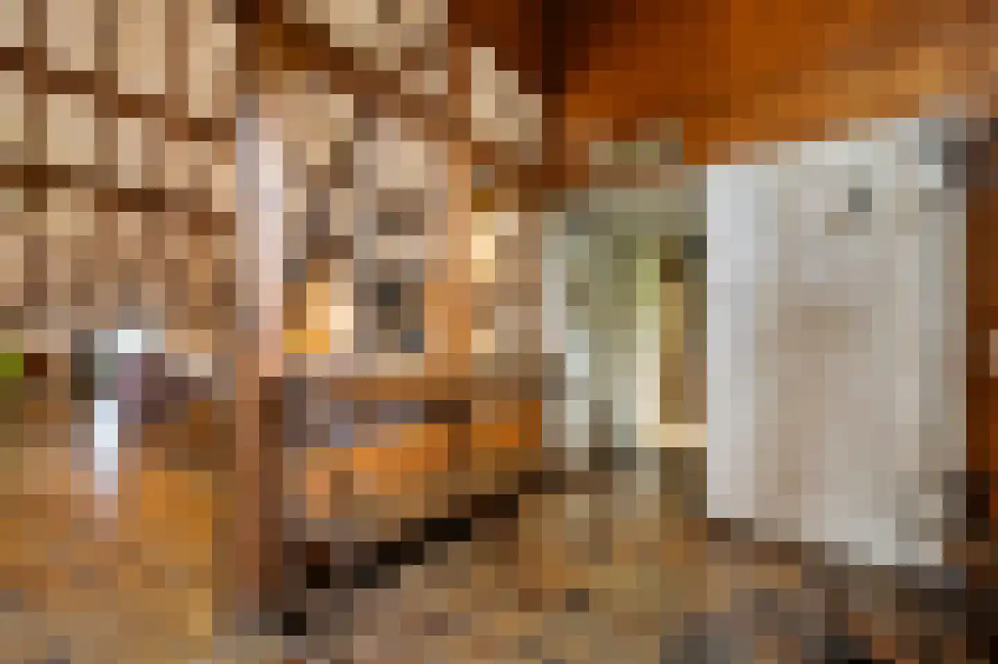 Boerensteeg 10 Huizen thumbnail 5