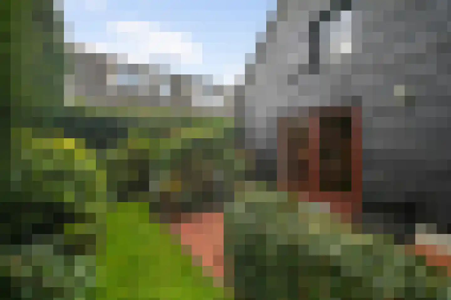 Boerensteeg 10 Huizen thumbnail 50