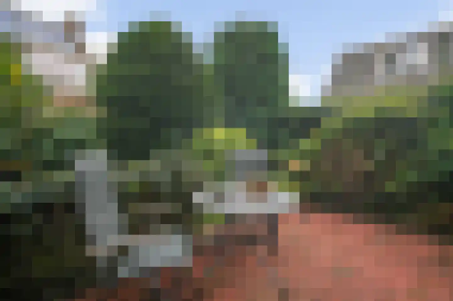 Boerensteeg 10 Huizen thumbnail 52