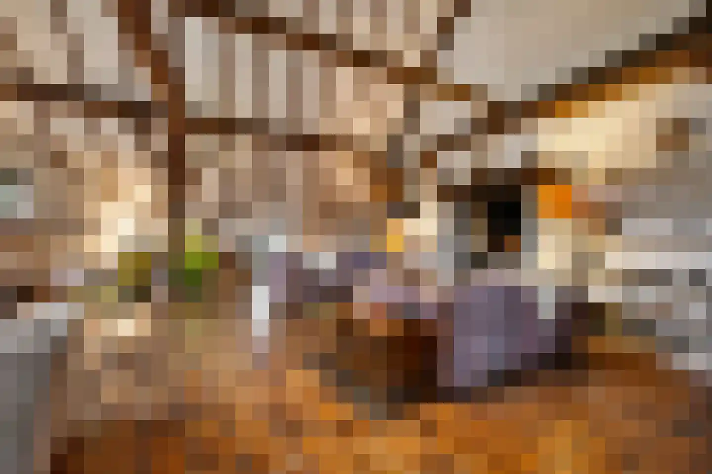 Boerensteeg 10 Huizen thumbnail 6