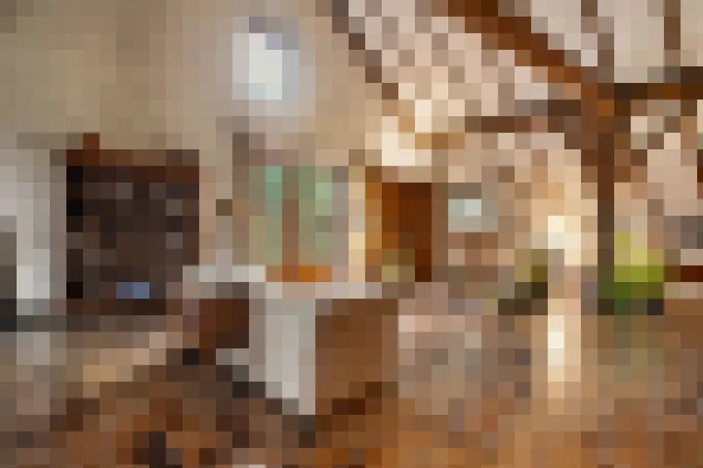 Boerensteeg 10 Huizen thumbnail 7
