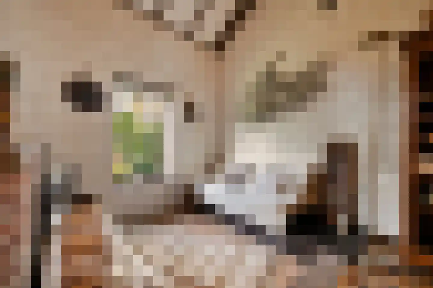 Boerensteeg 10 Huizen thumbnail 8