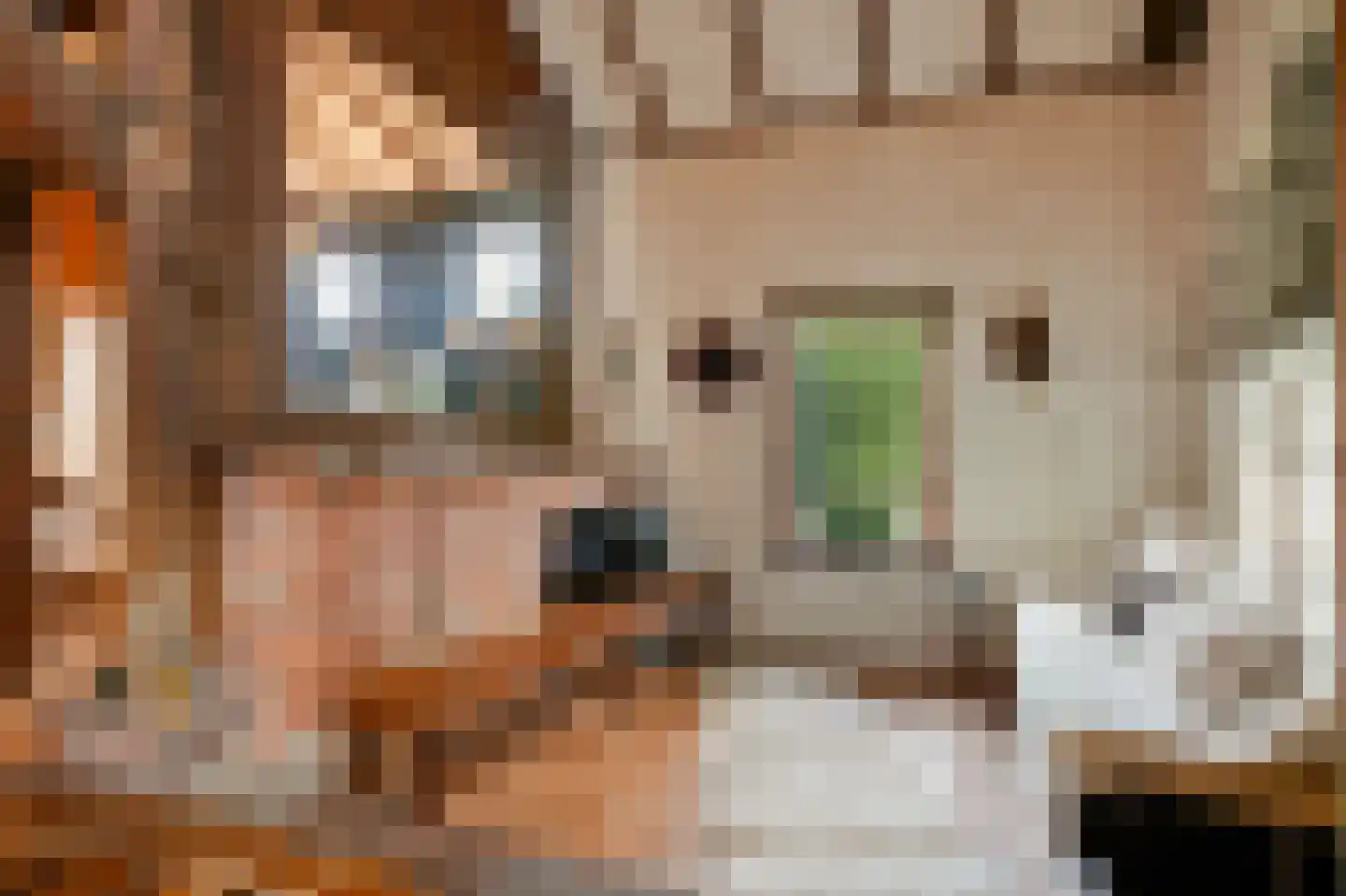 Boerensteeg 10 Huizen thumbnail 9