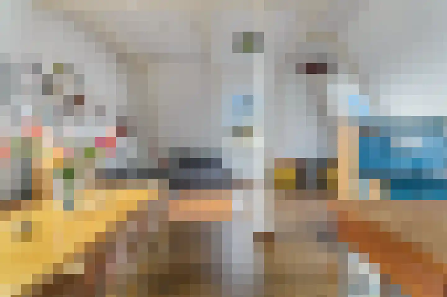 Boerensteeg 12 Amsterdam thumbnail 17