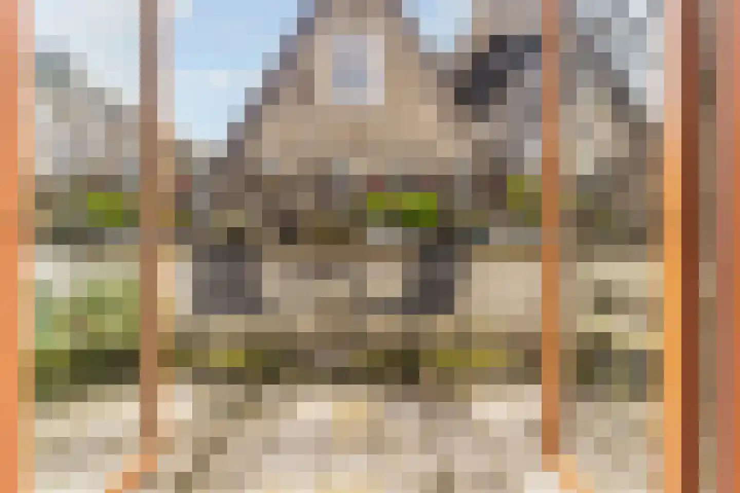 Boerensteeg 12 Amsterdam thumbnail 7