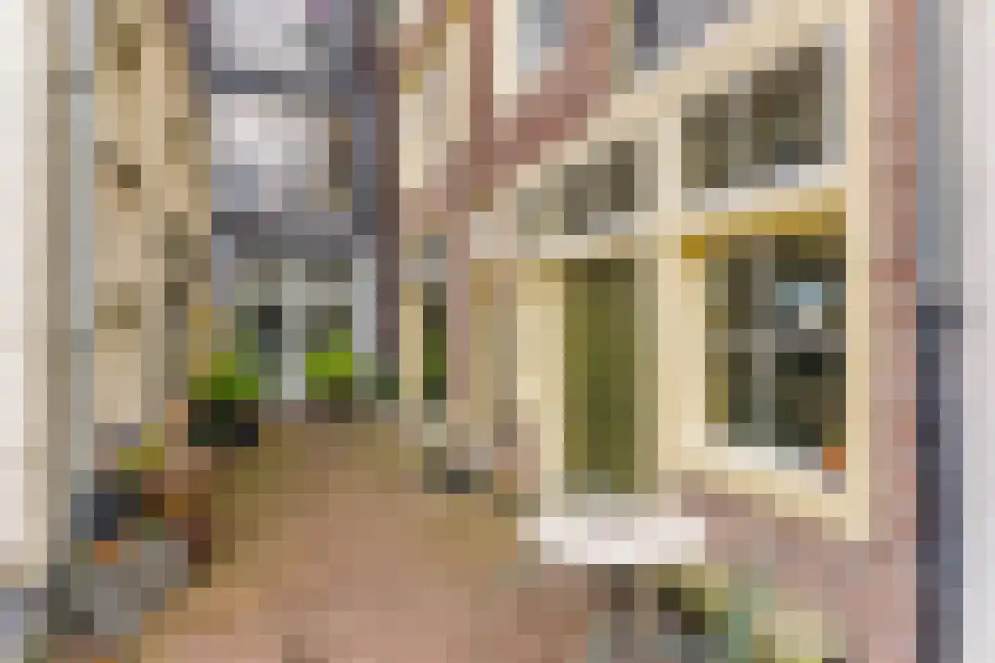 Boerensteeg 12 Amsterdam thumbnail 9