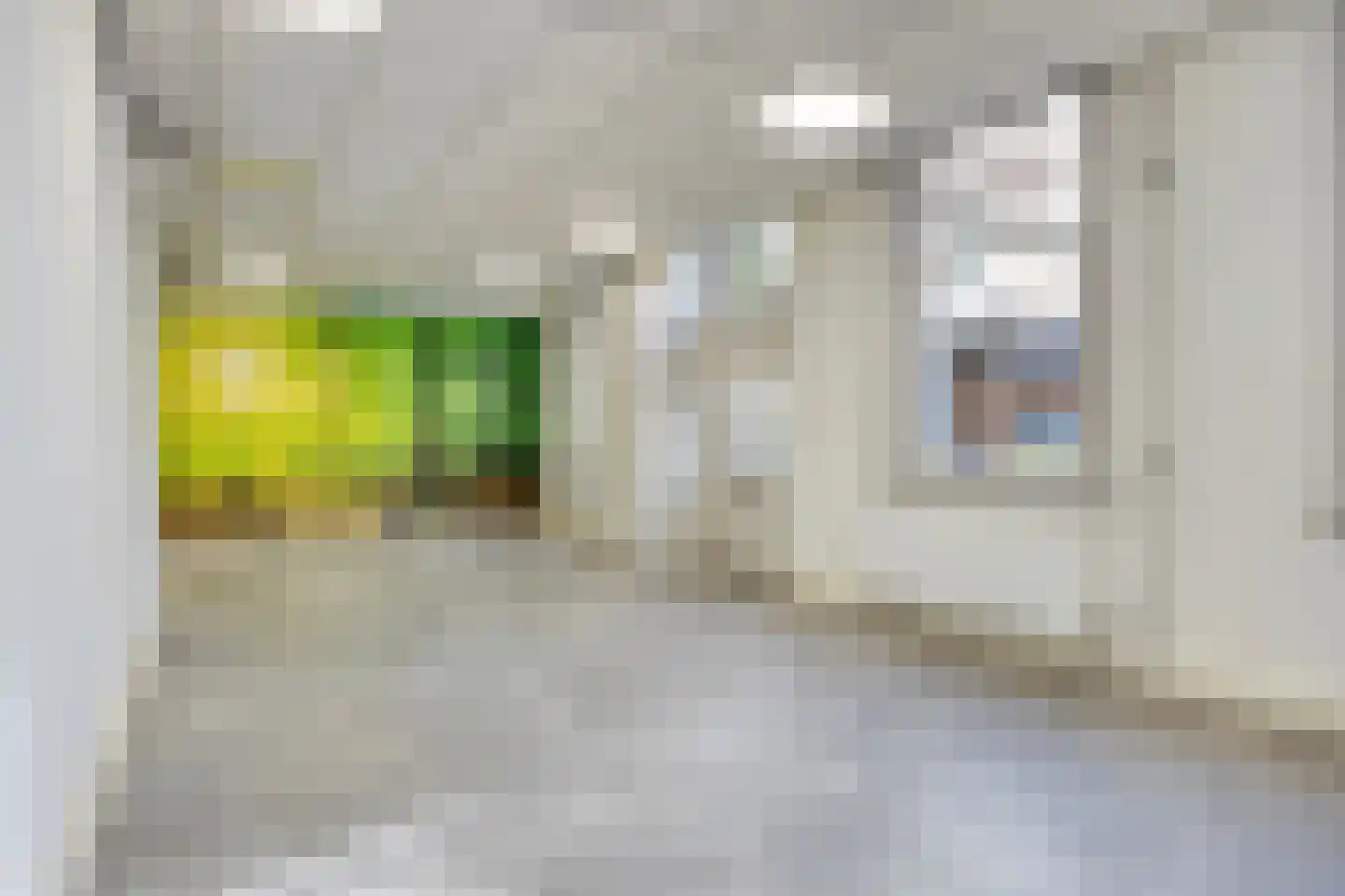 Boerenstraat 1 Gorinchem thumbnail 13