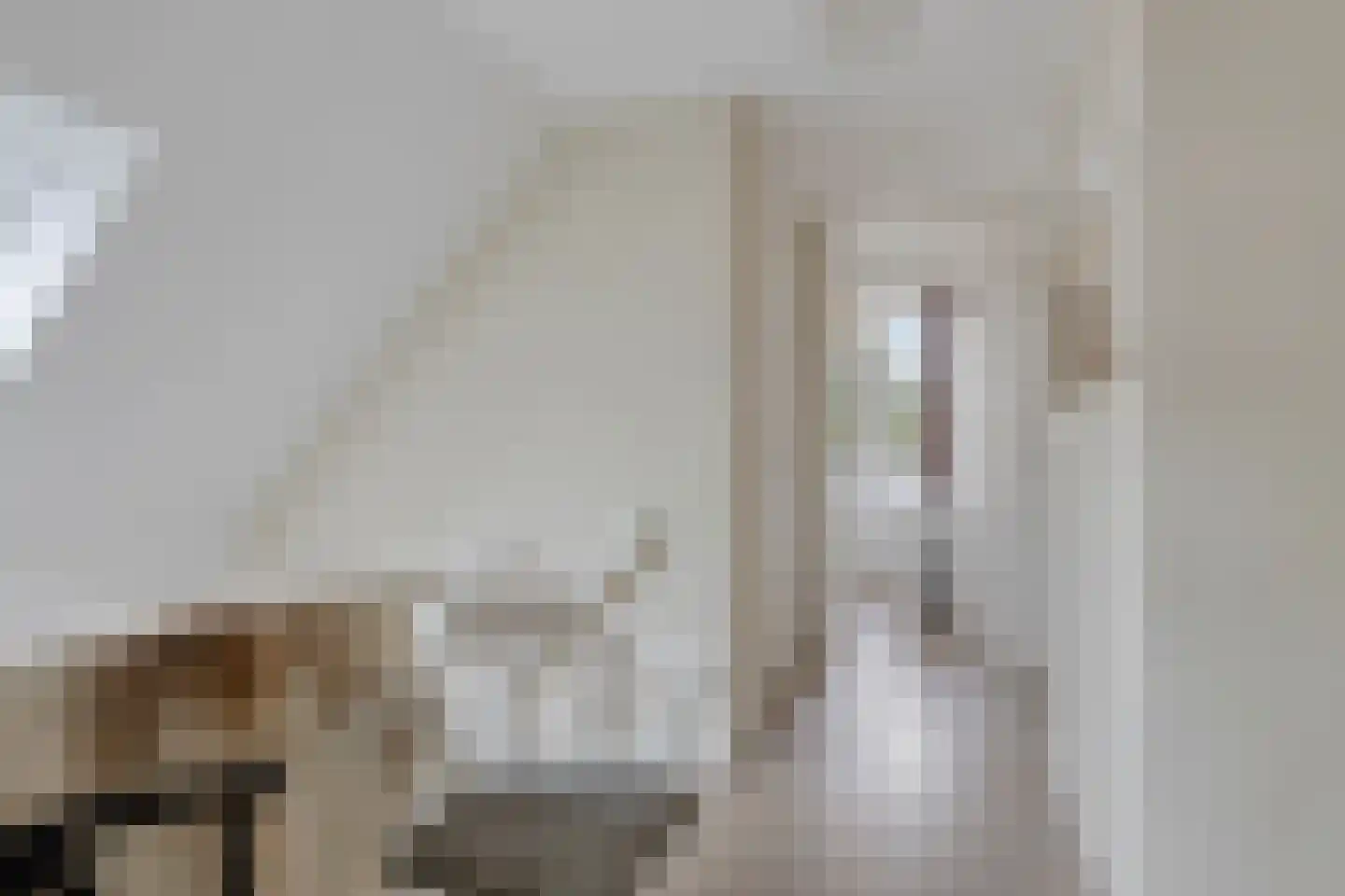 Boerenstraat 19 Eerbeek thumbnail 24