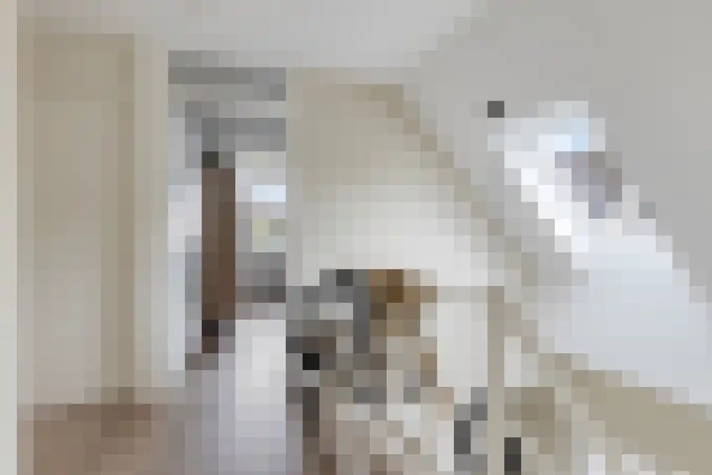 Boerenstraat 19 Eerbeek thumbnail 25