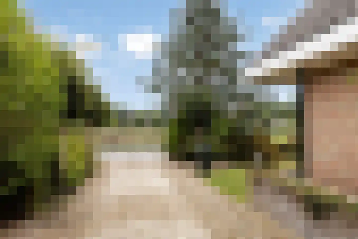 Boerenstraat 19 Eerbeek thumbnail 6