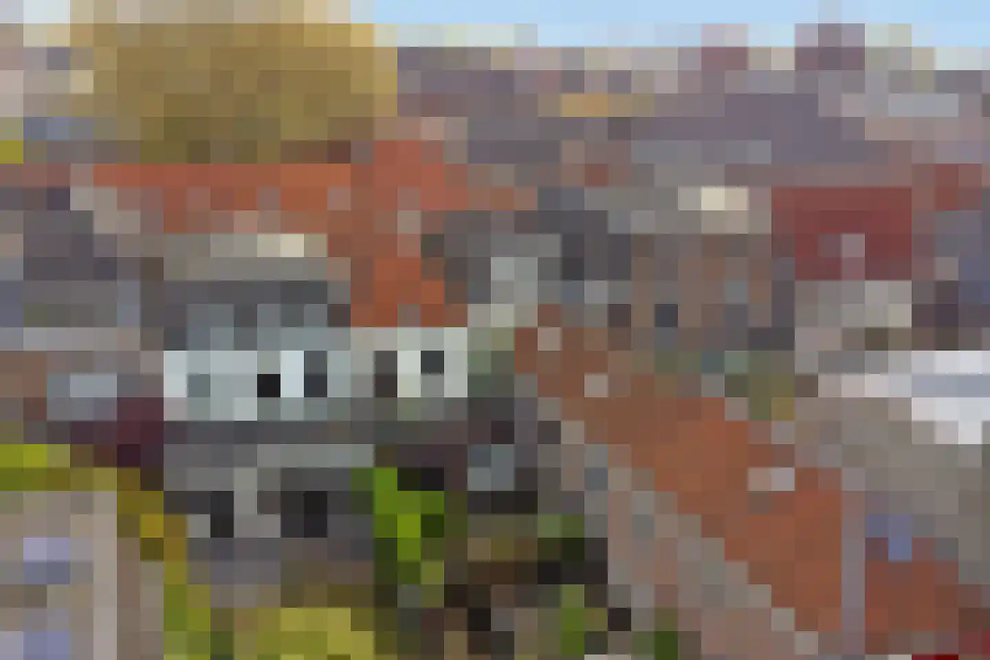 Boerenstraat 24 Gorinchem thumbnail 73