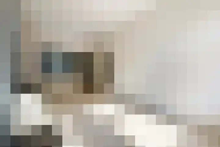 Boerenstraat 87 Den Haag thumbnail 6