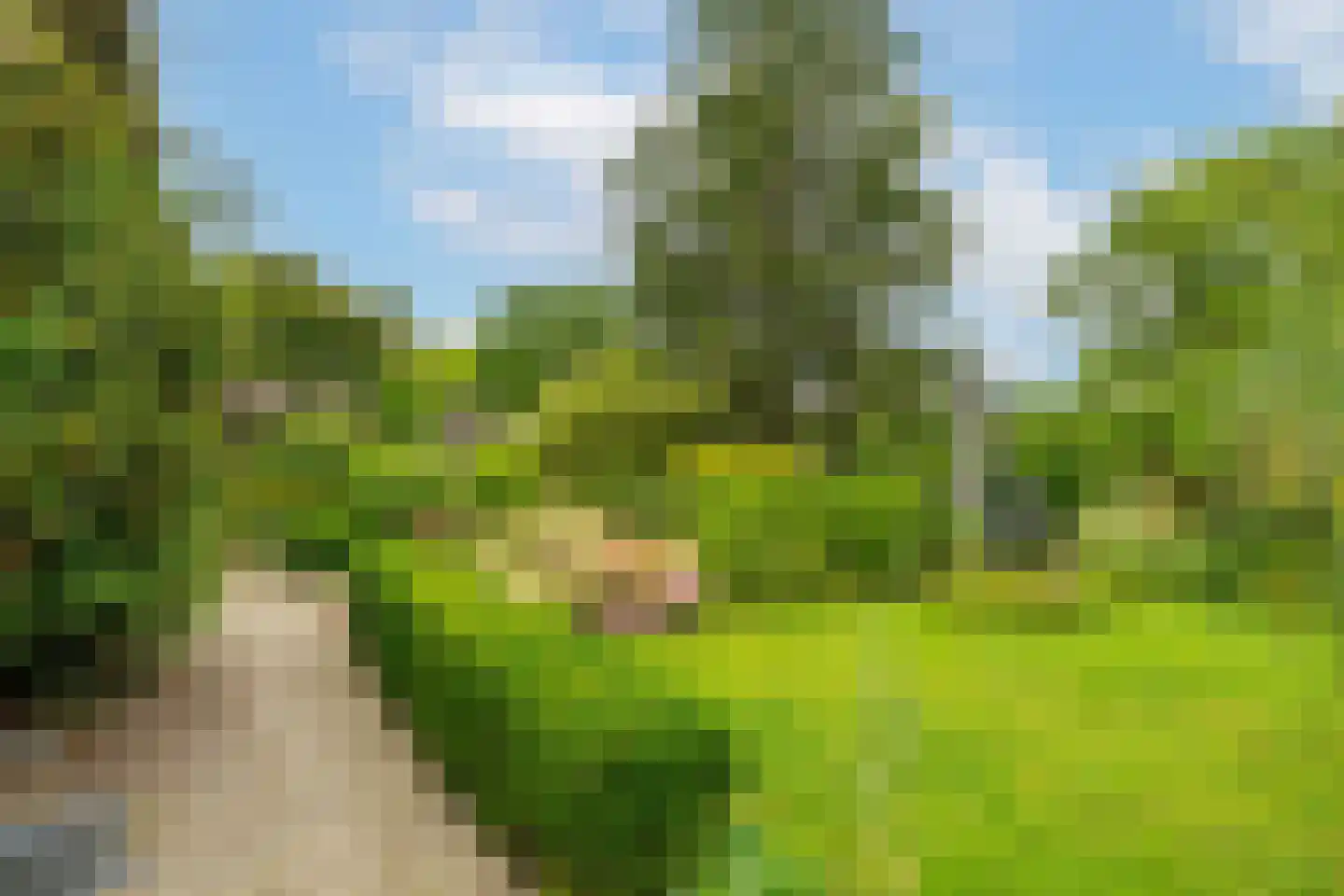 Boerenverdrietweg 3 Hank thumbnail 27