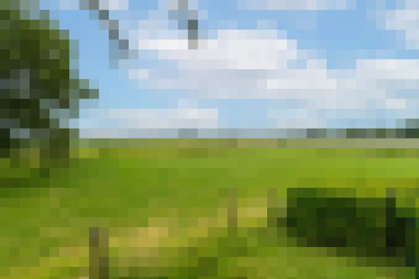 Boerenverdrietweg 3 Hank thumbnail 30