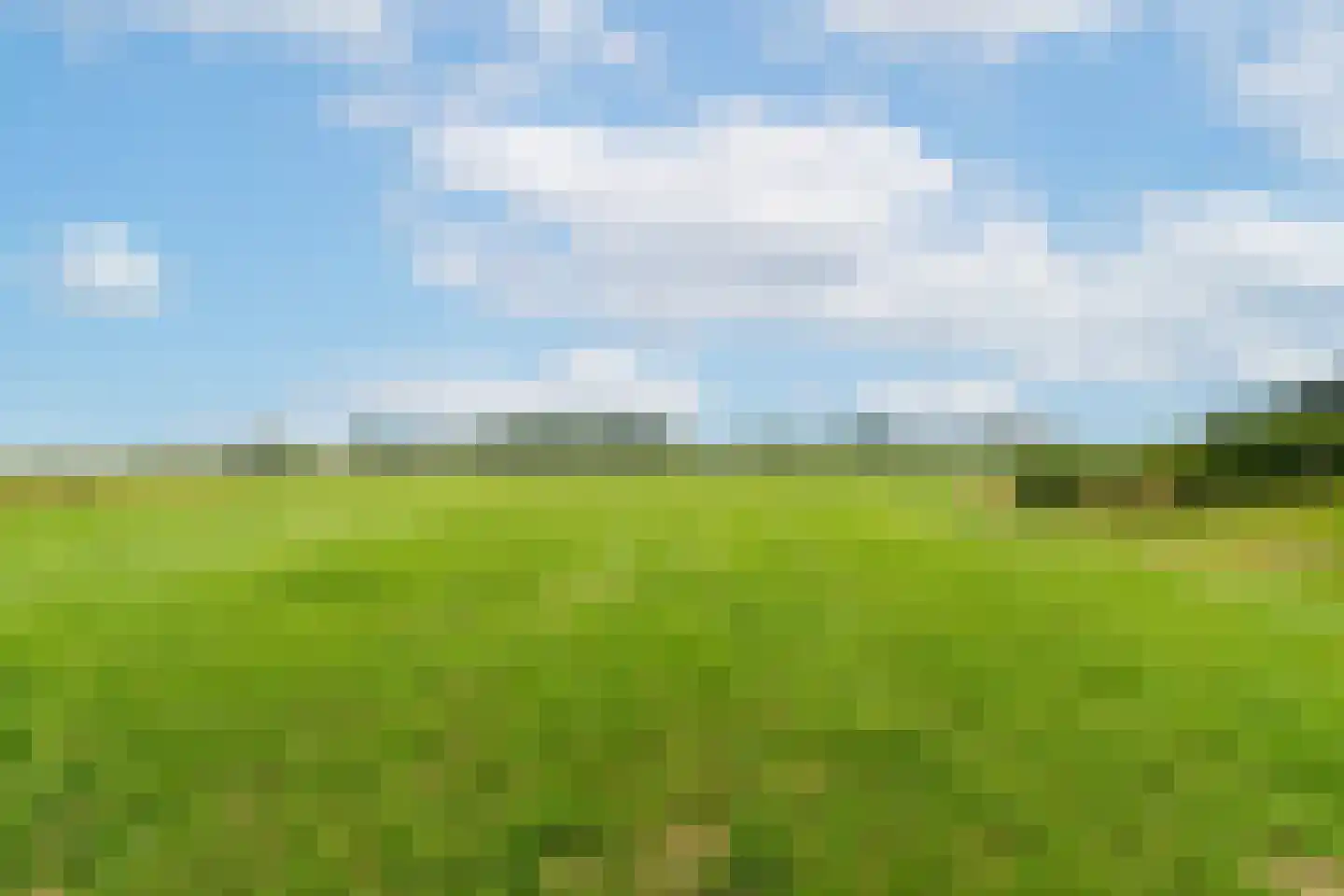 Boerenverdrietweg 3 Hank thumbnail 31
