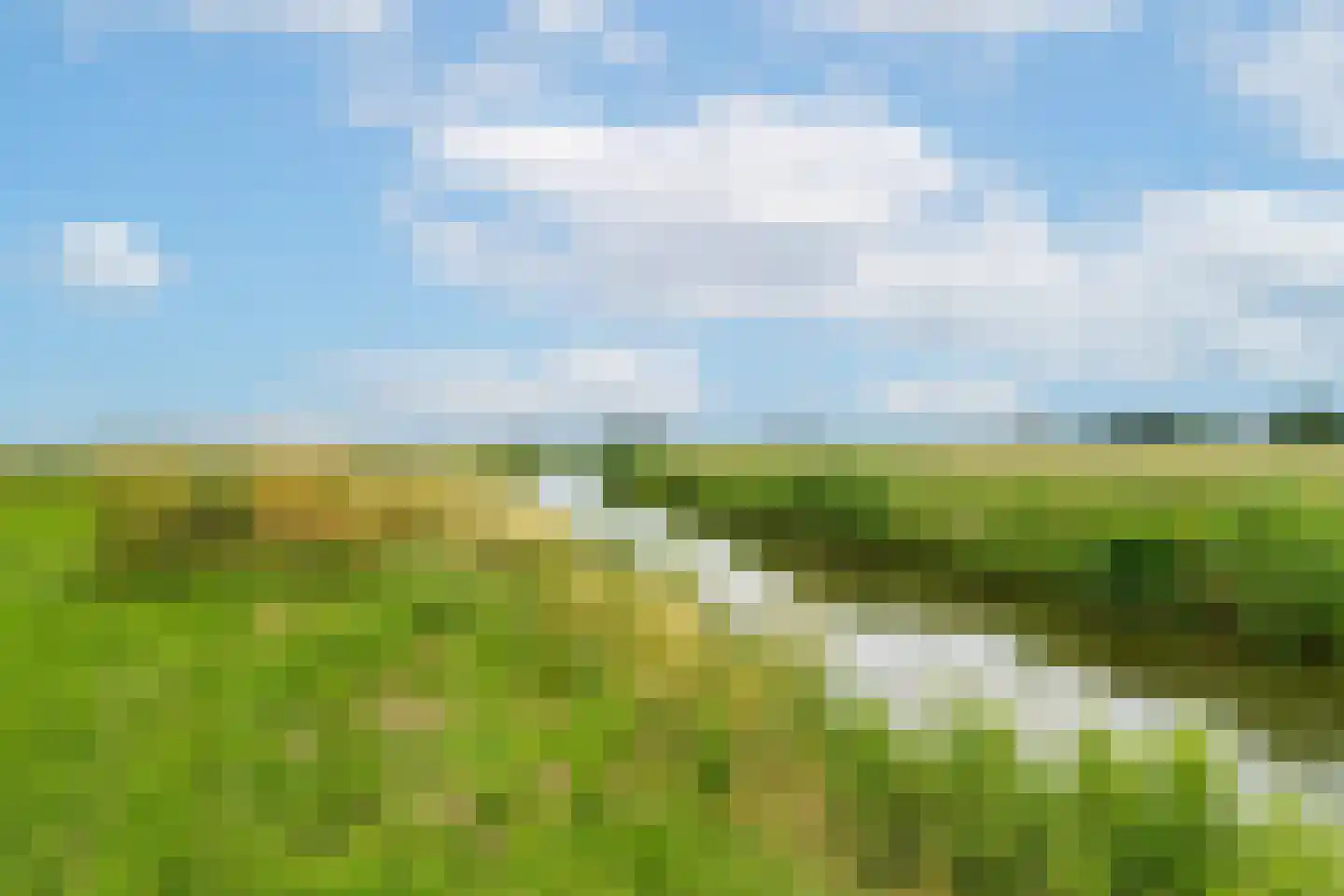 Boerenverdrietweg 3 Hank thumbnail 32