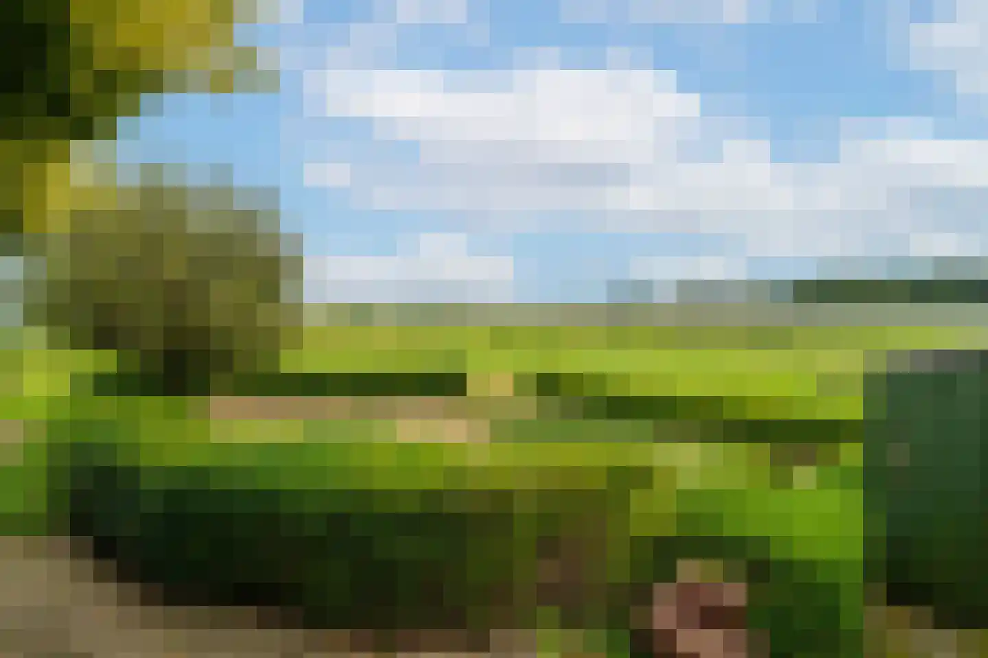 Boerenverdrietweg 3 Hank thumbnail 33