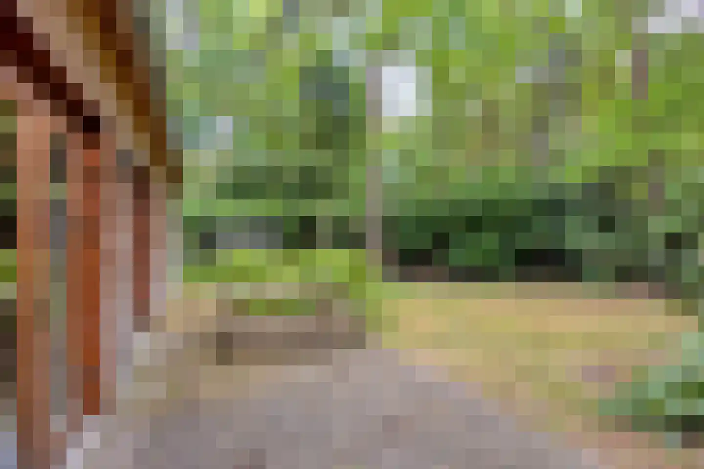 Boerenweg 14 Norg thumbnail 42