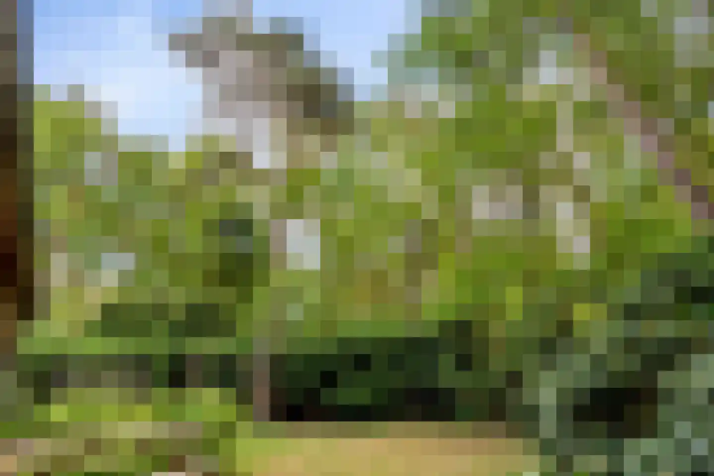 Boerenweg 14 Norg thumbnail 43