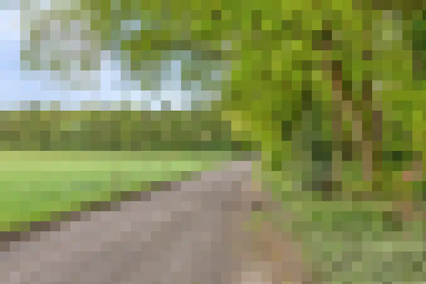 Boerenweg 14 Norg thumbnail 55