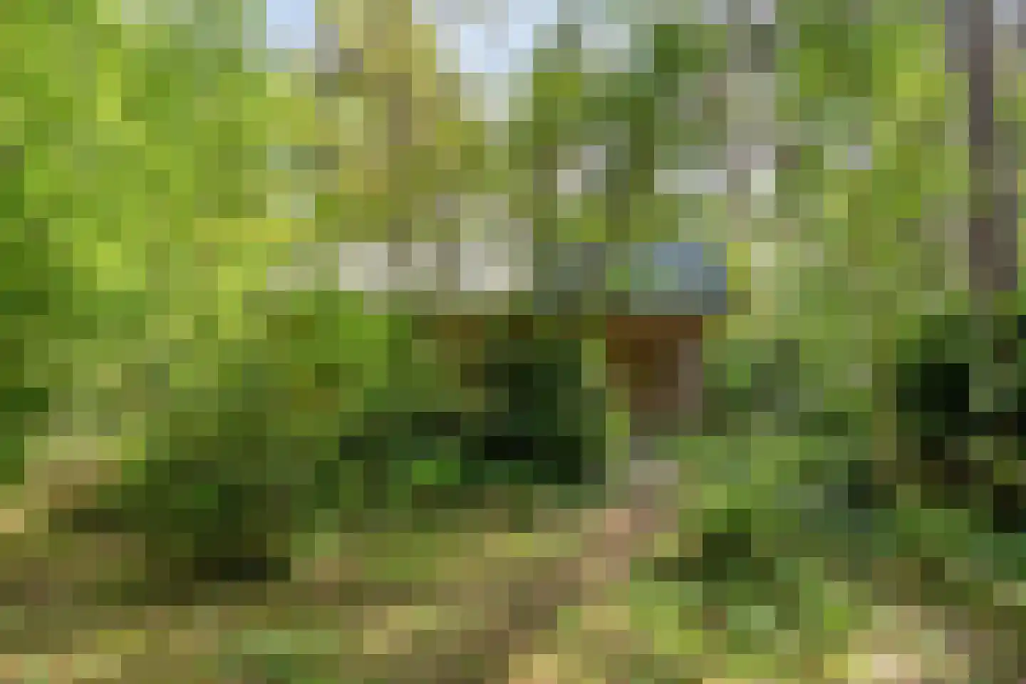Boerenweg 14 Norg thumbnail 9