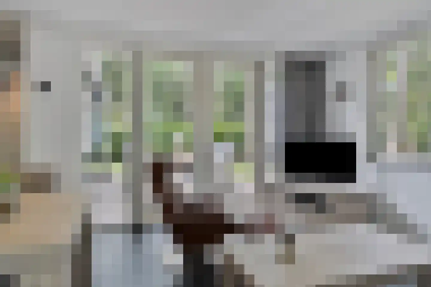 Boerenweg 15 Norg thumbnail 13