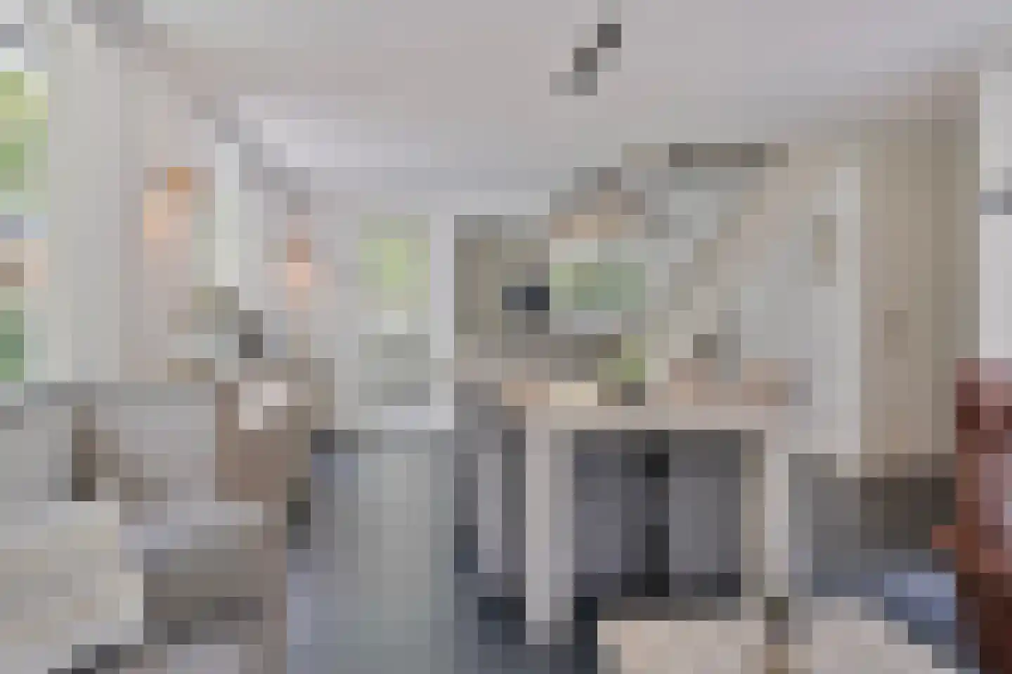 Boerenweg 15 Norg thumbnail 14