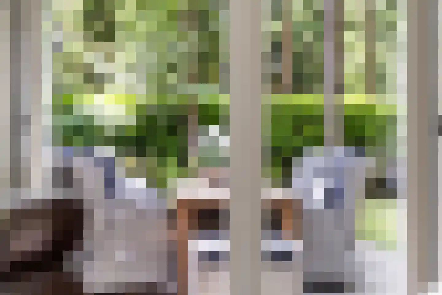 Boerenweg 15 Norg thumbnail 17