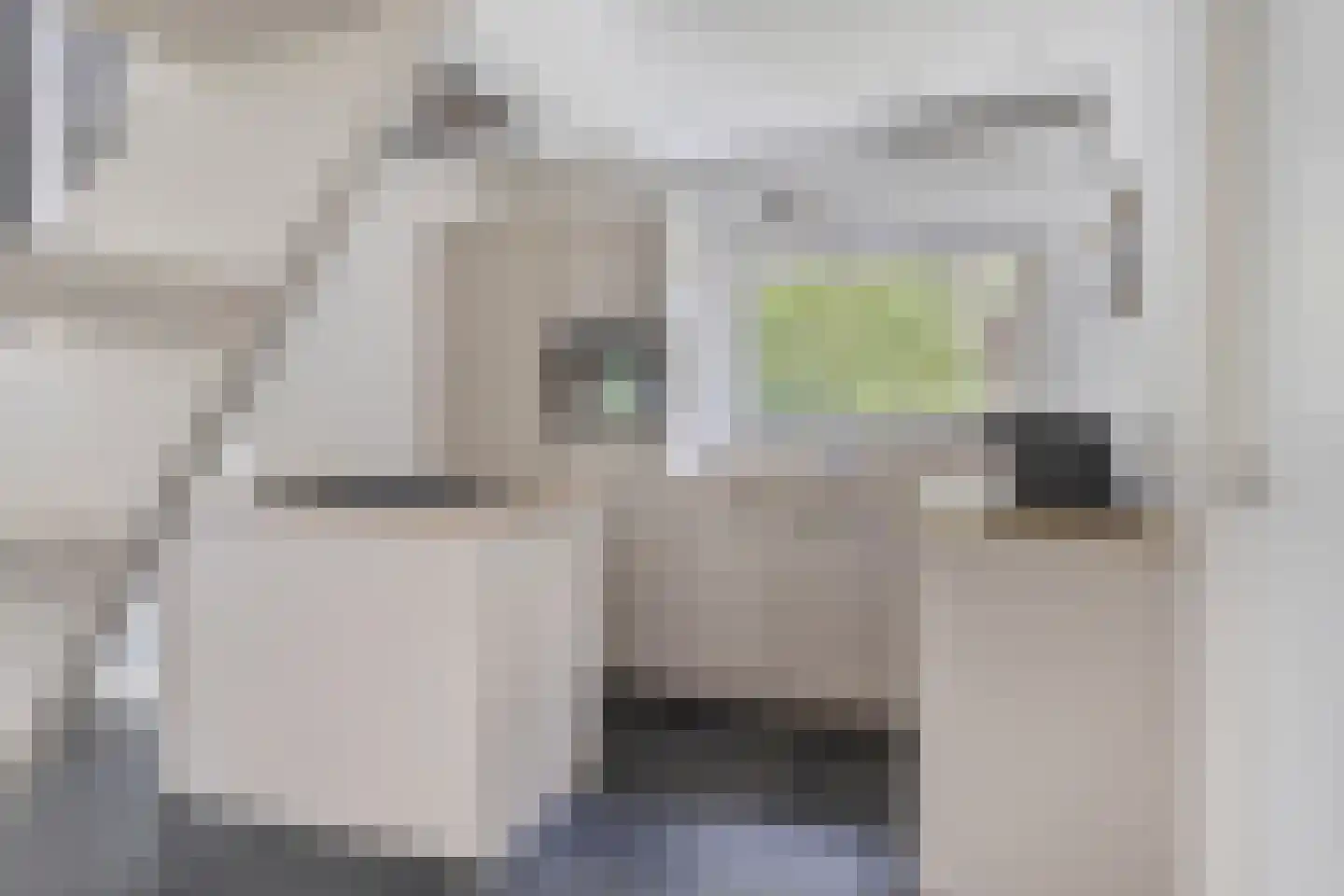 Boerenweg 15 Norg thumbnail 19