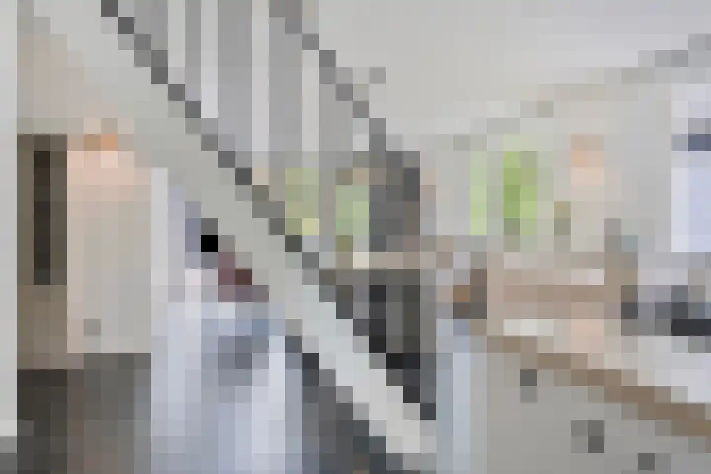 Boerenweg 15 Norg thumbnail 21