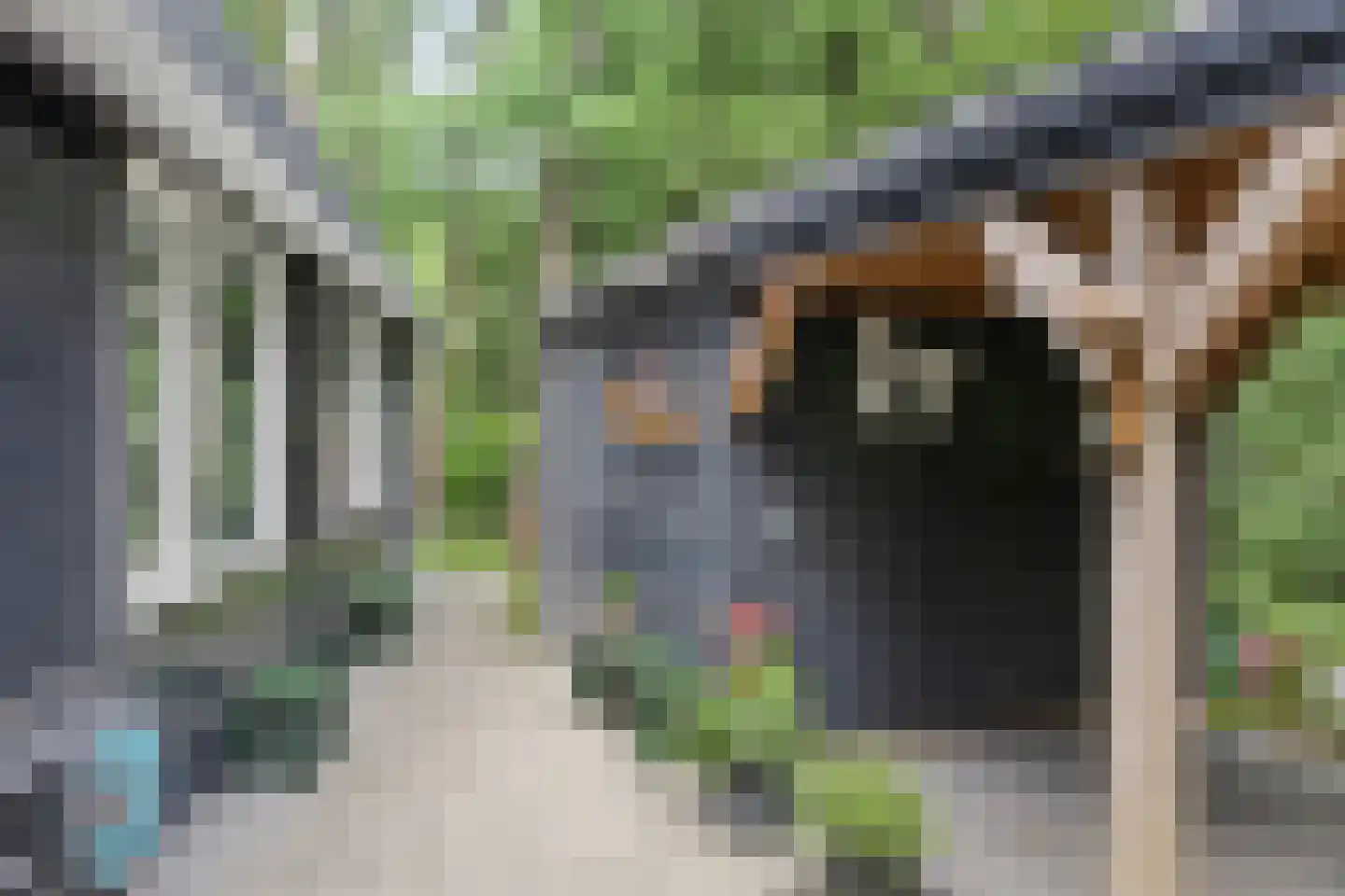 Boerenweg 15 Norg thumbnail 37