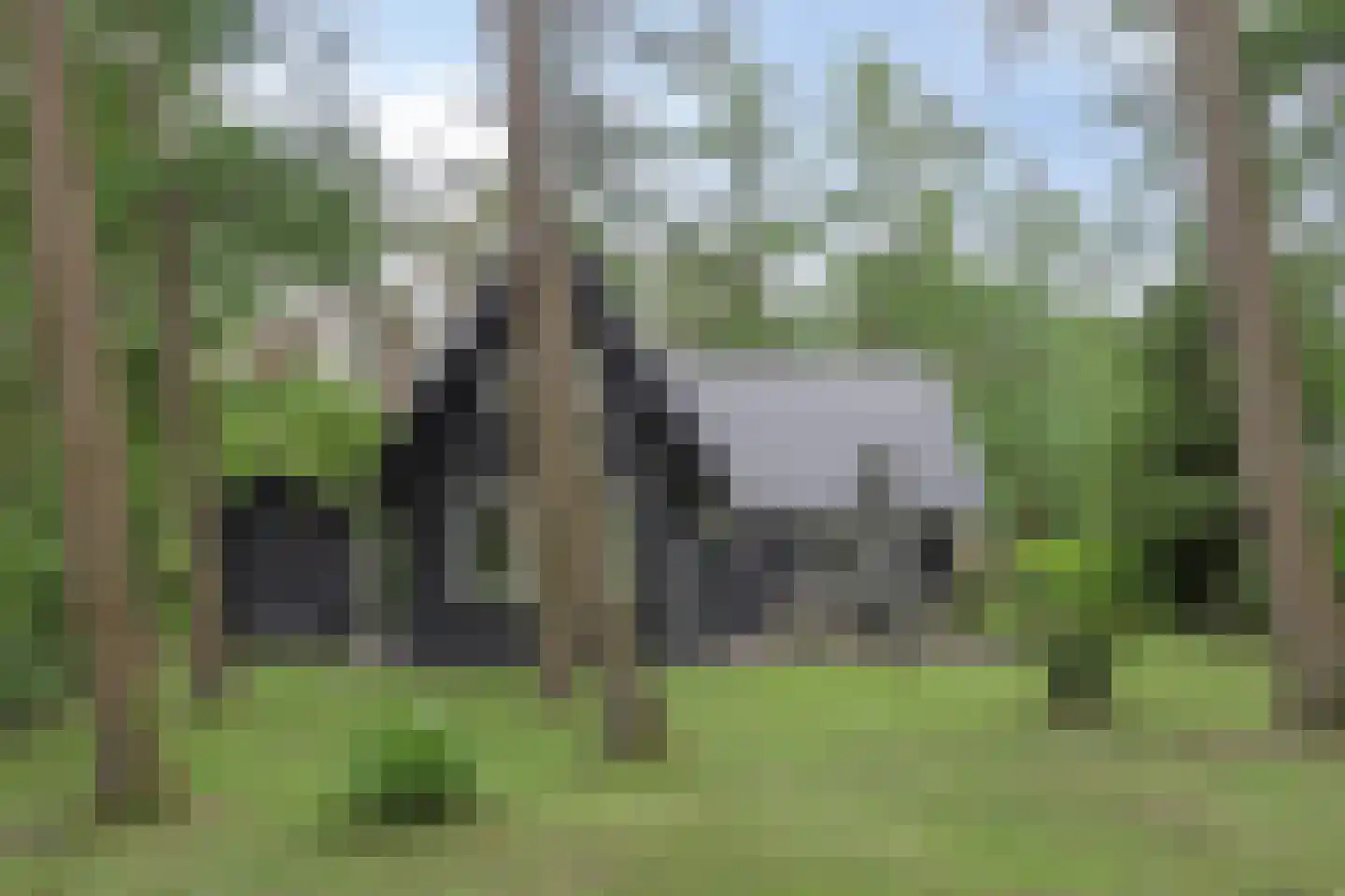 Boerenweg 15 Norg thumbnail 39