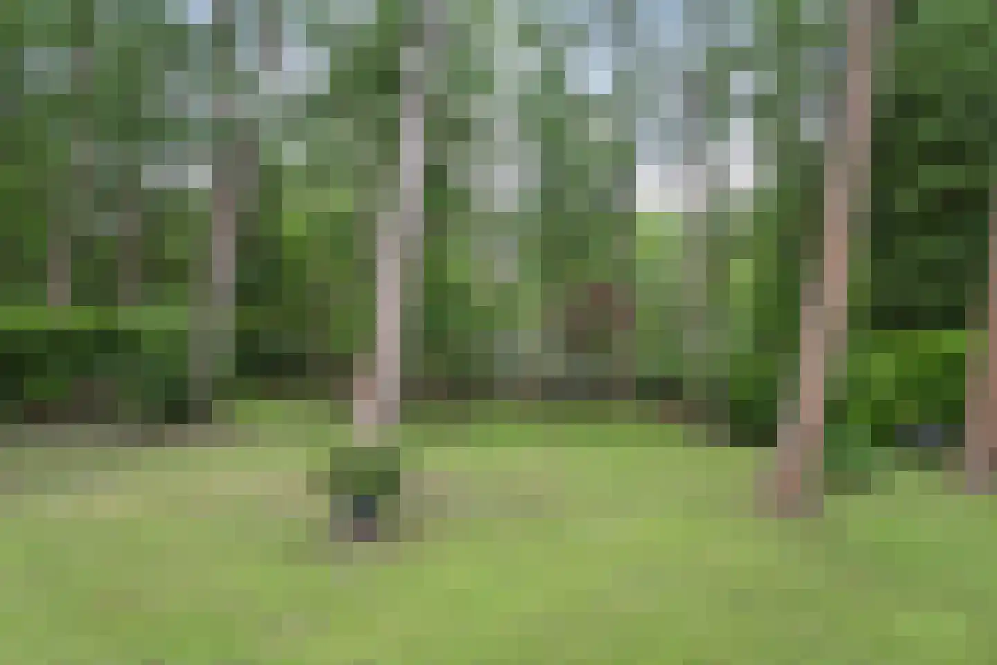 Boerenweg 15 Norg thumbnail 44
