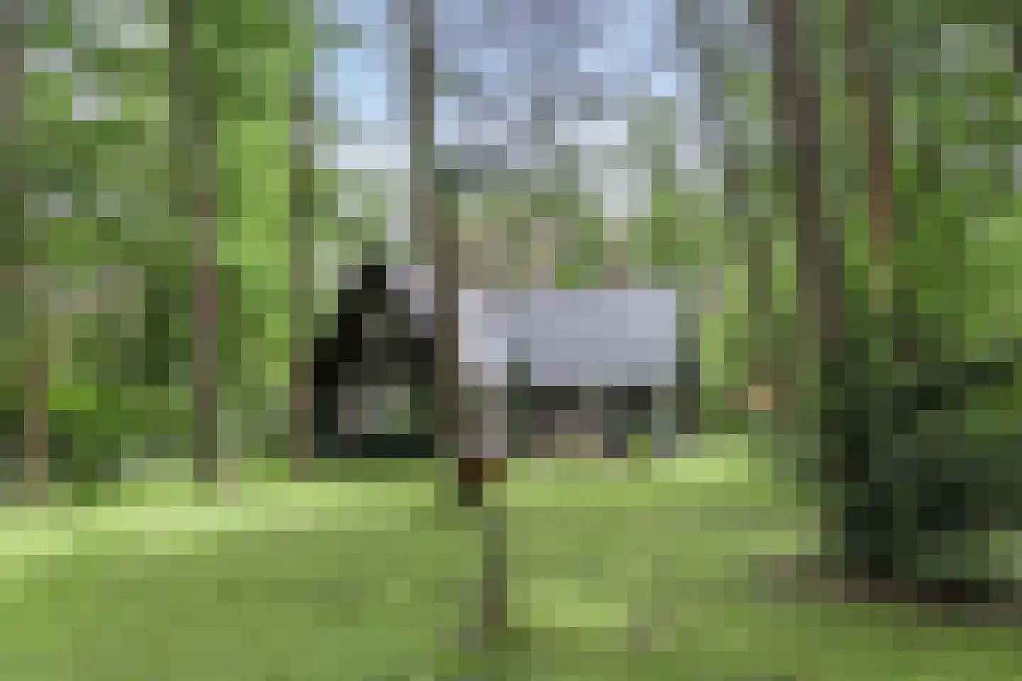 Boerenweg 15 Norg thumbnail 46