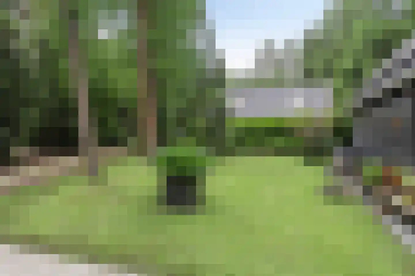 Boerenweg 15 Norg thumbnail 48