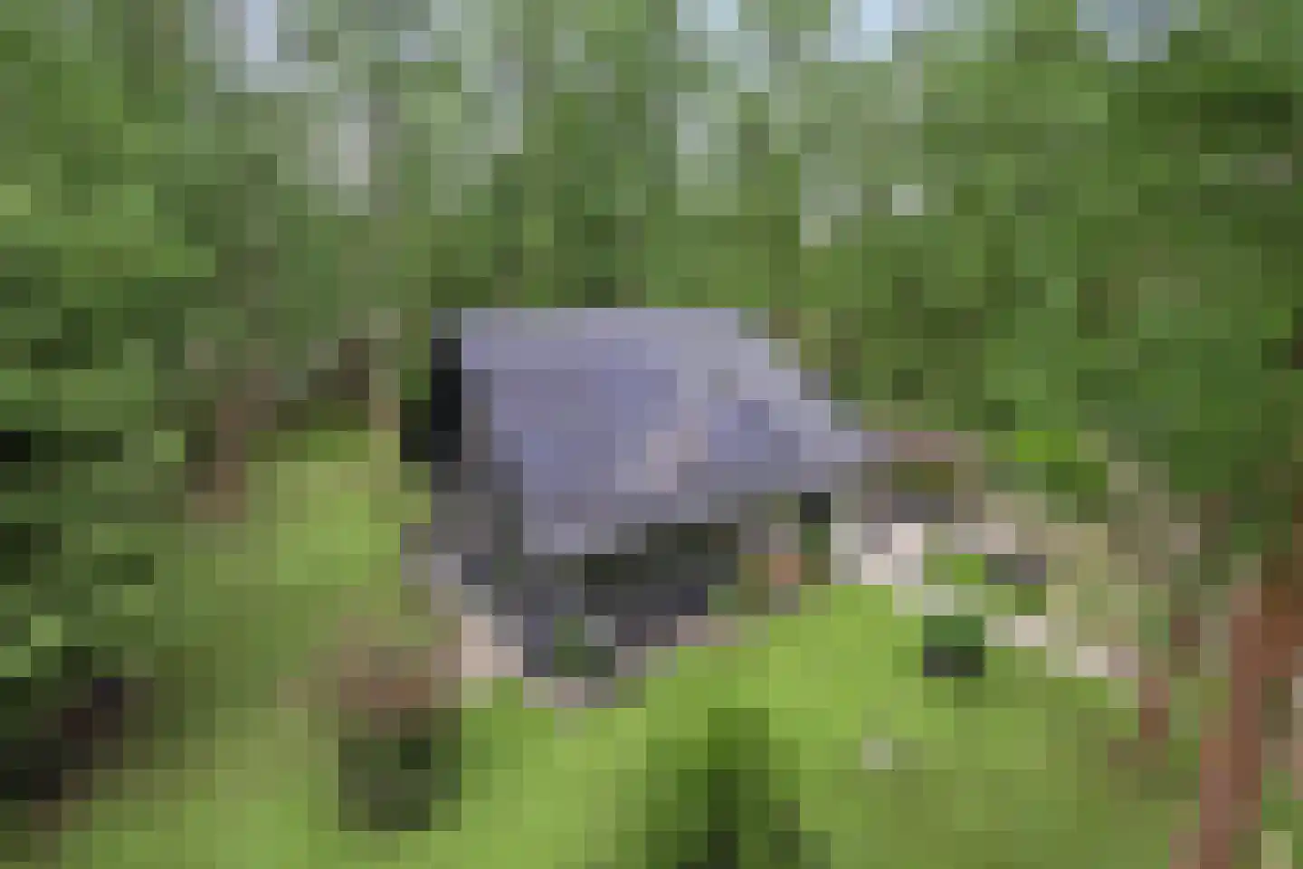 Boerenweg 15 Norg thumbnail 5