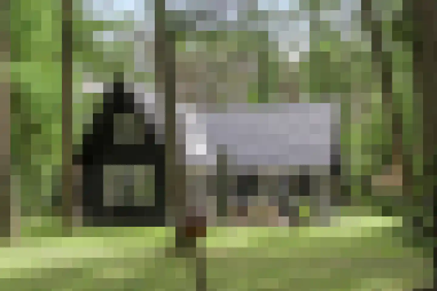 Boerenweg 15 Norg thumbnail 6
