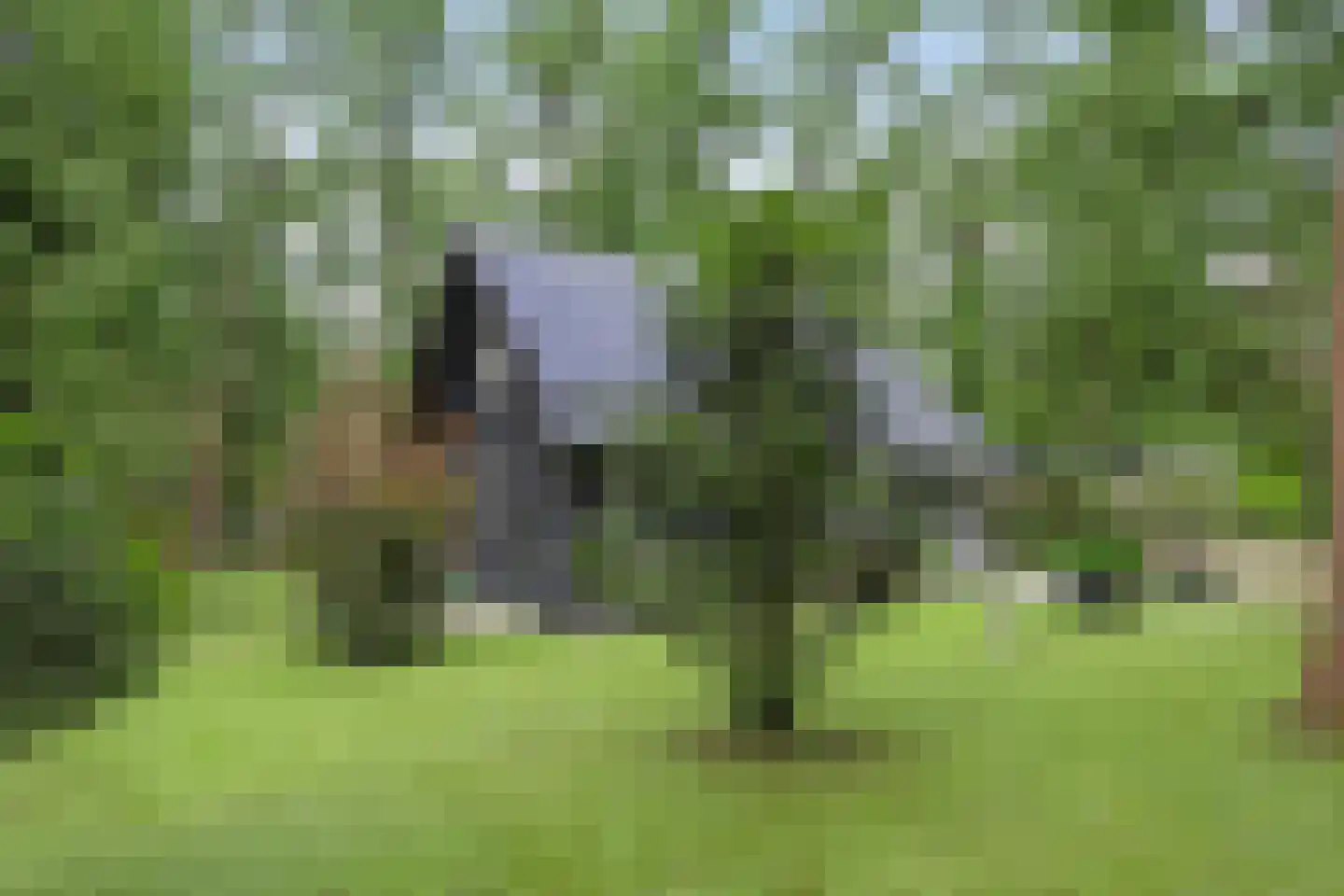 Boerenweg 15 Norg thumbnail 7