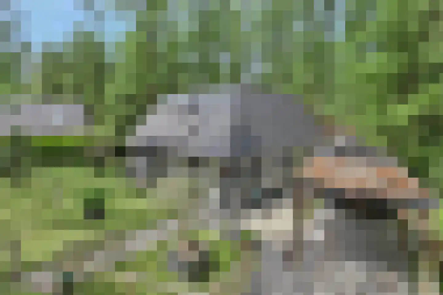 Boerenweg 15 Norg thumbnail 8