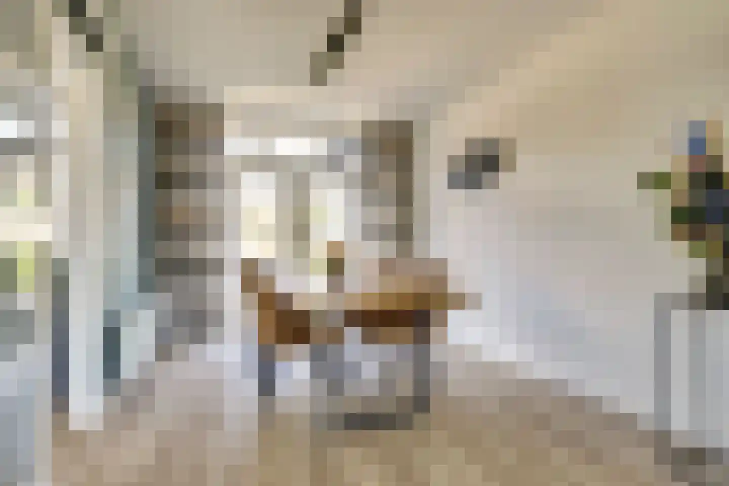 Boerenweg 25 Arcen thumbnail 10