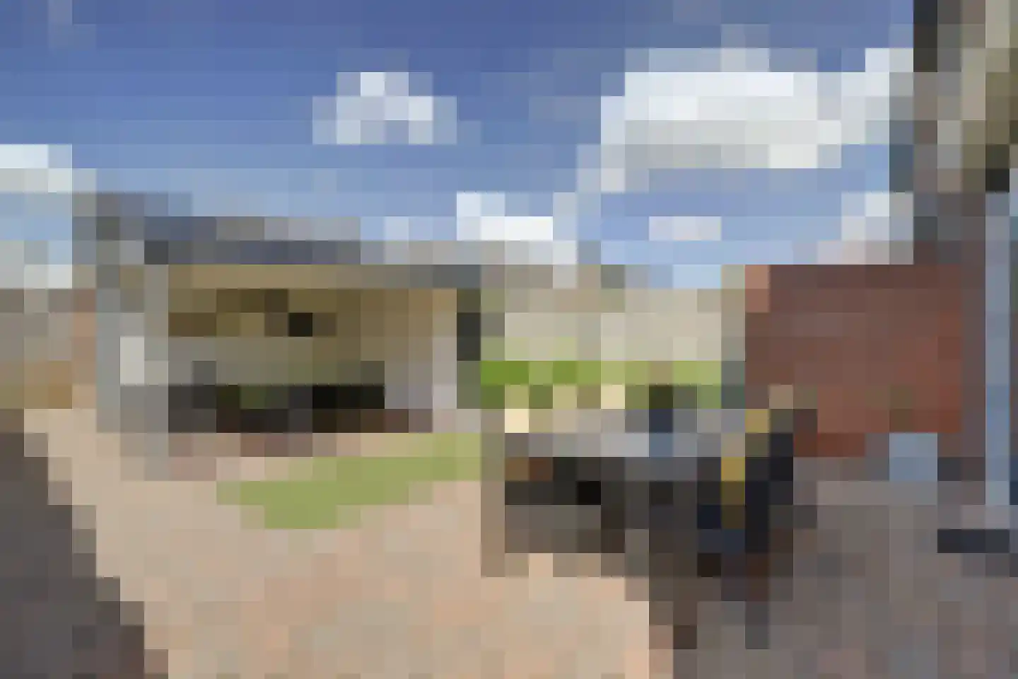 Boerenweg 25 Arcen thumbnail 34
