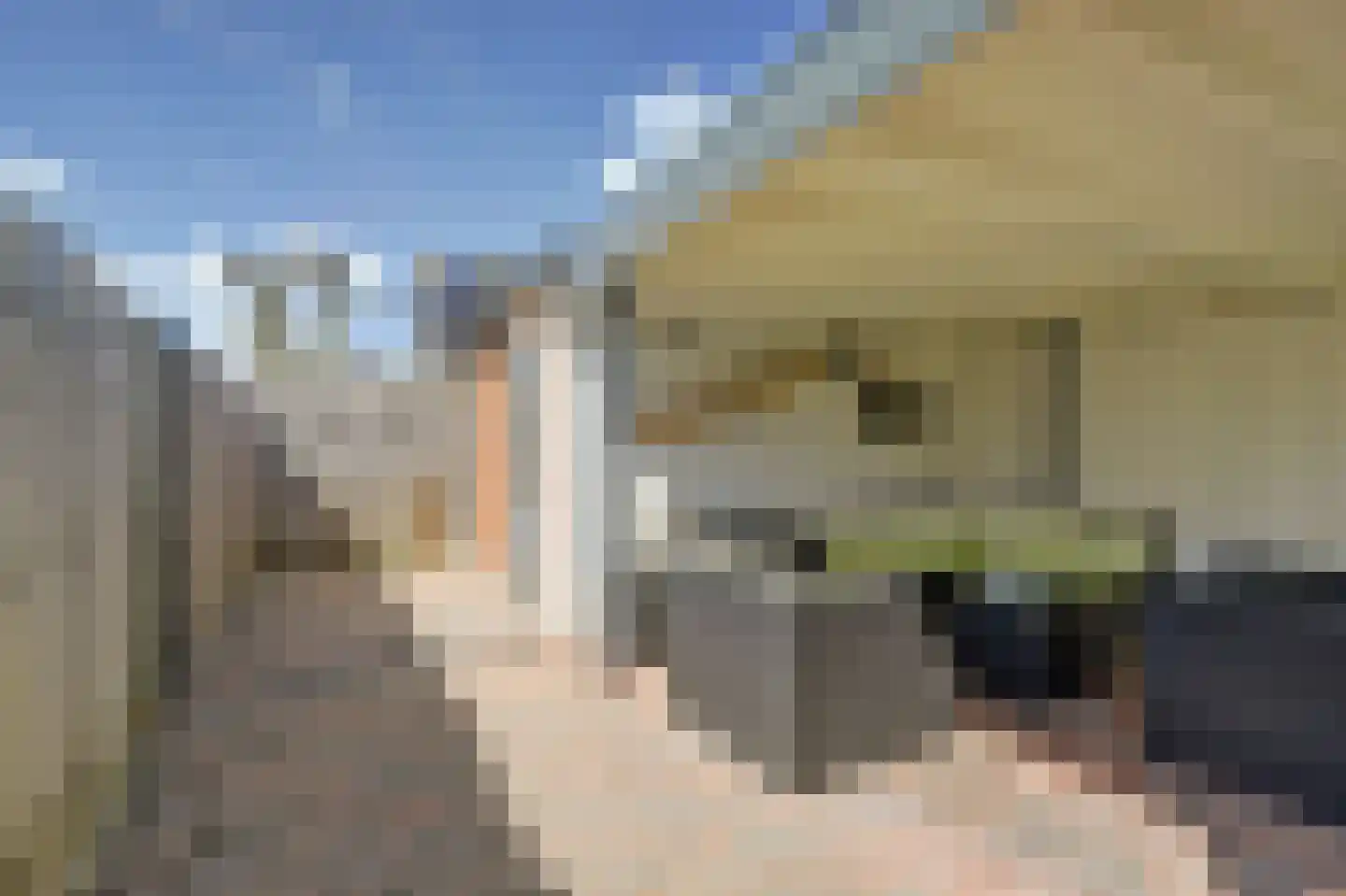 Boerenweg 25 Arcen thumbnail 35