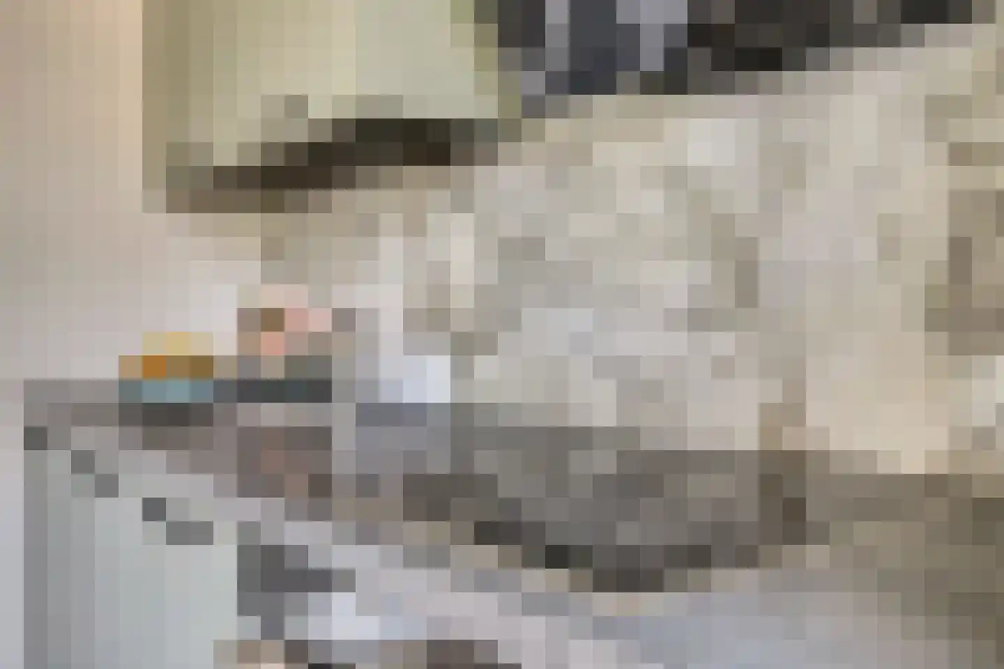 Boerenweg 25 Arcen thumbnail 4