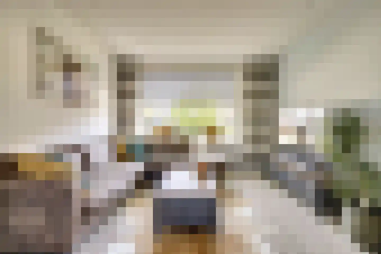 Boerenweg 25 Arcen thumbnail 8