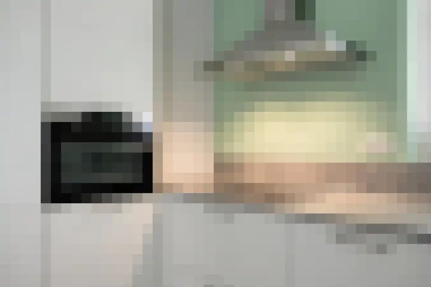 Boerenzwaluw 10 Vlijmen thumbnail 12