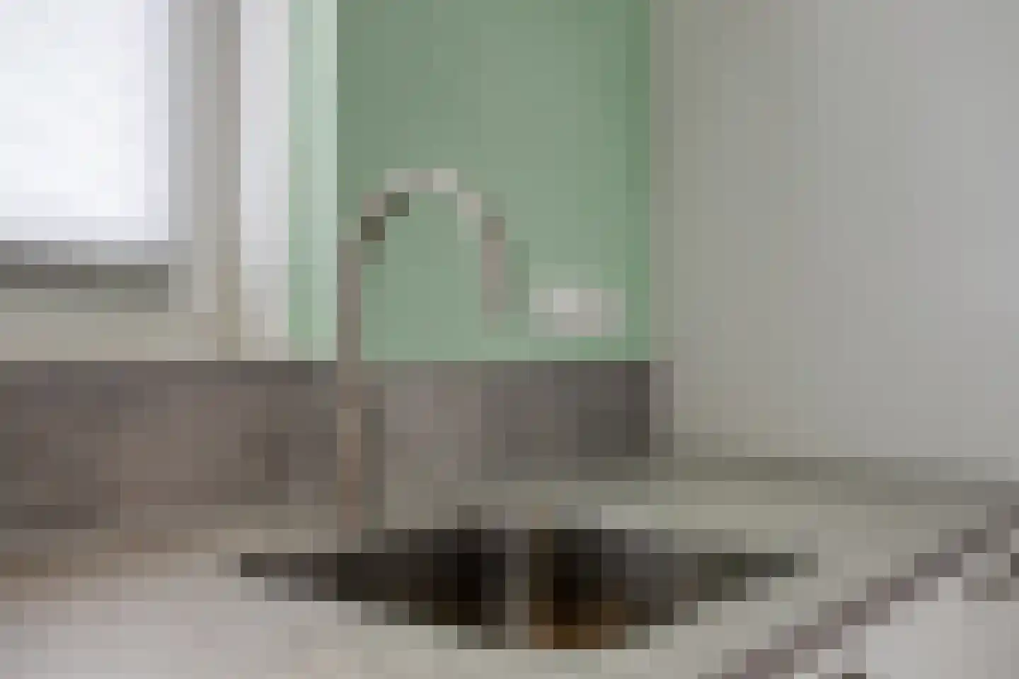 Boerenzwaluw 10 Vlijmen thumbnail 13