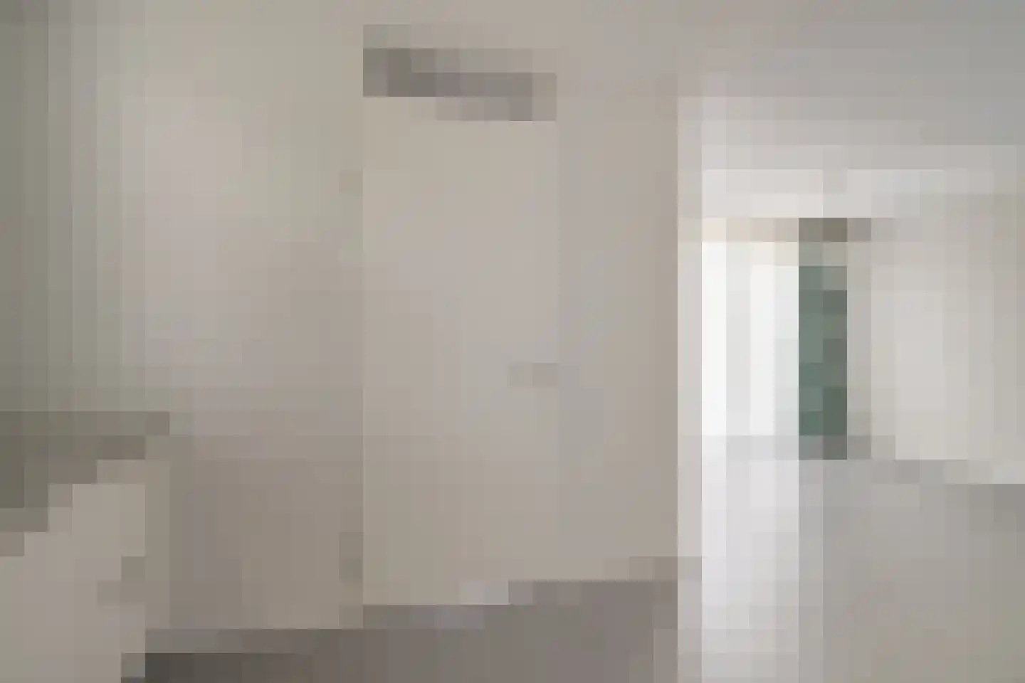 Boerenzwaluw 10 Vlijmen thumbnail 14