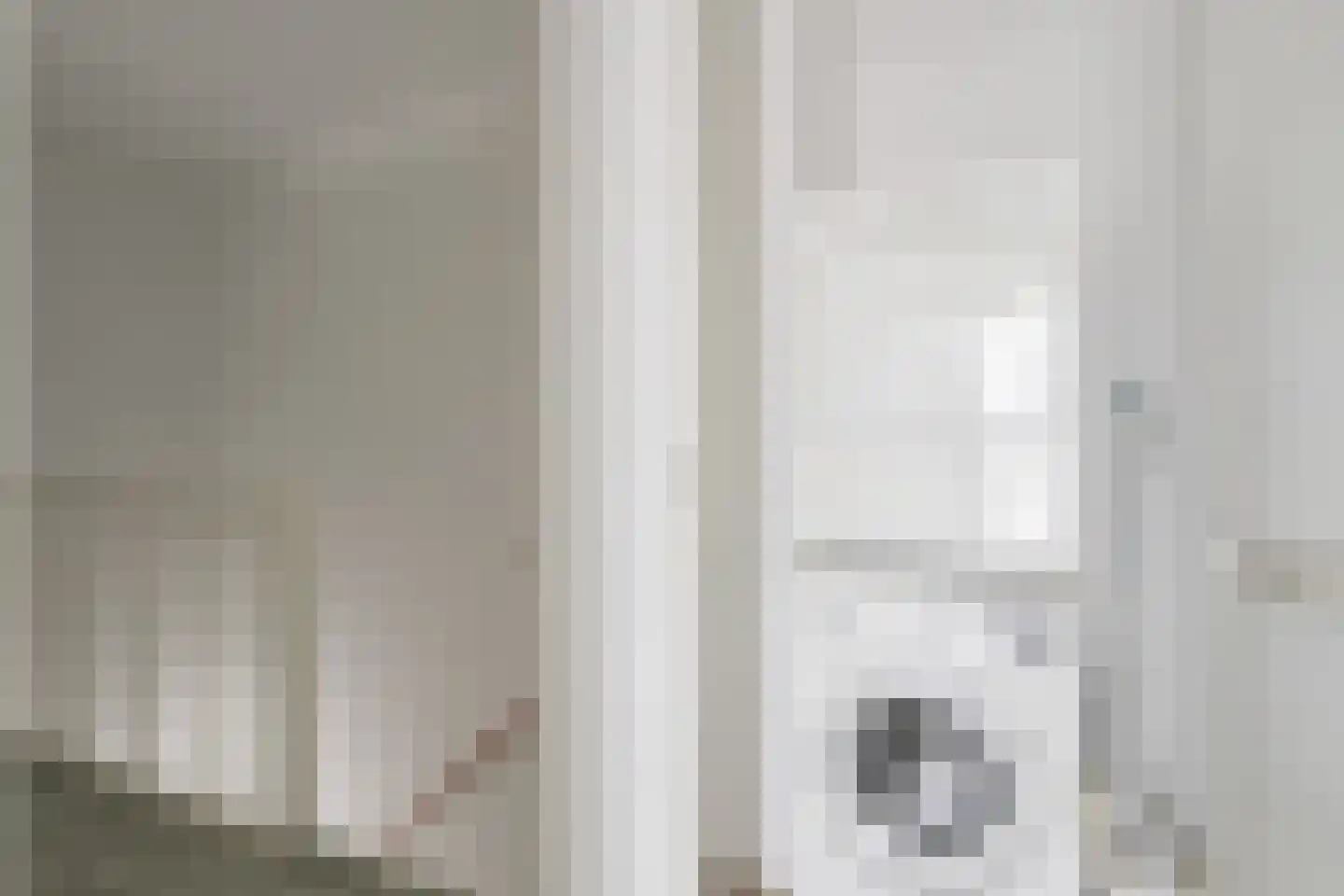 Boerenzwaluw 10 Vlijmen thumbnail 15