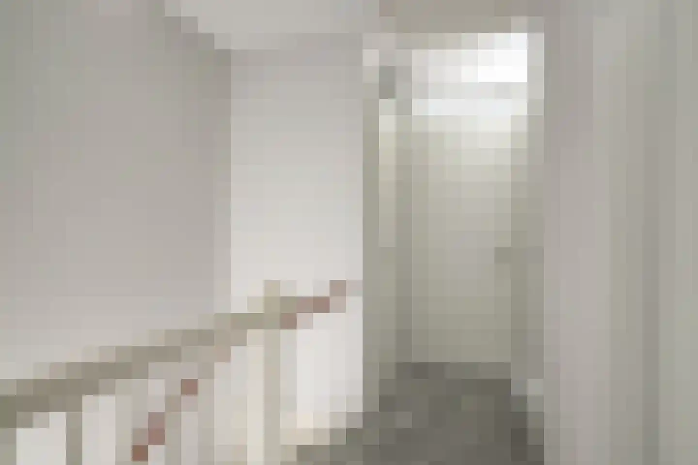 Boerenzwaluw 10 Vlijmen thumbnail 16