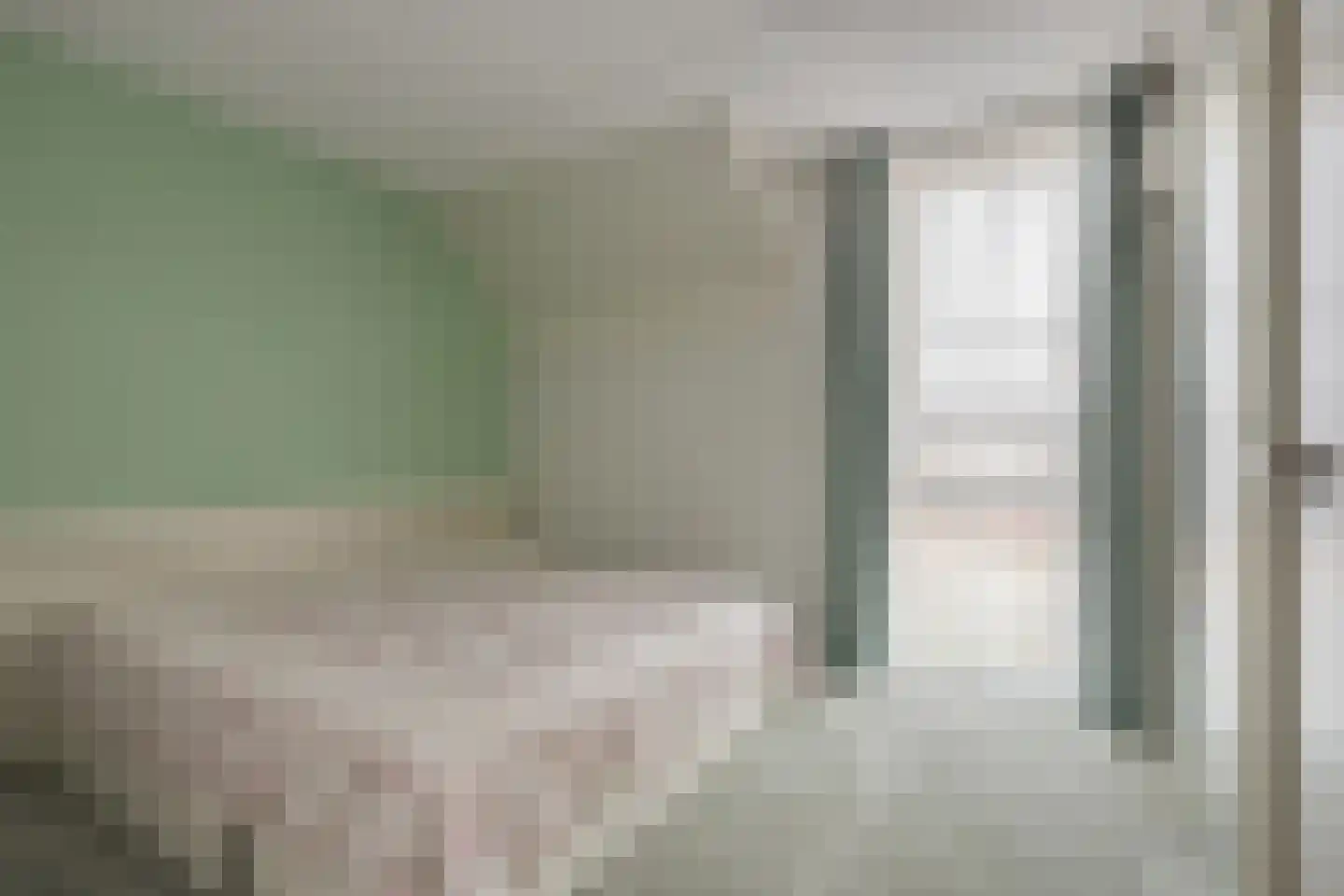 Boerenzwaluw 10 Vlijmen thumbnail 17